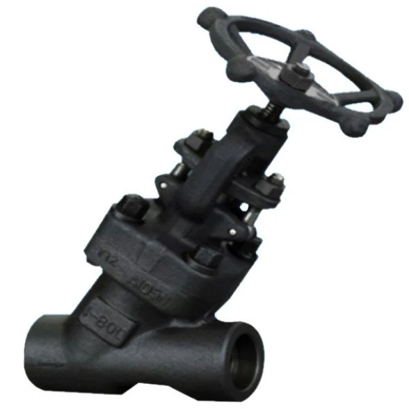 Female Threaded And Socket Welded Y Type Globe Valves