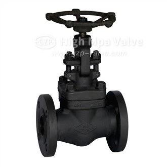 Care este serviciul de purjare a unei valve globulare?