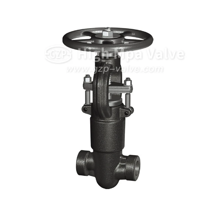 Socket Weld Globe Valve